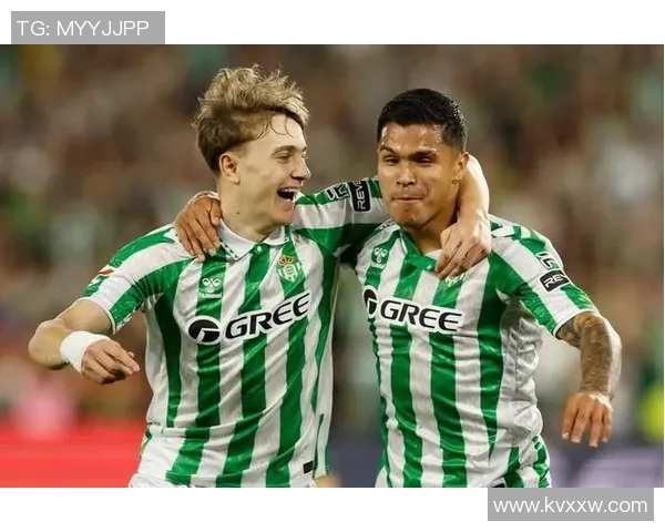 布格豪森对决分析：战术布局与球员表现的全面解读