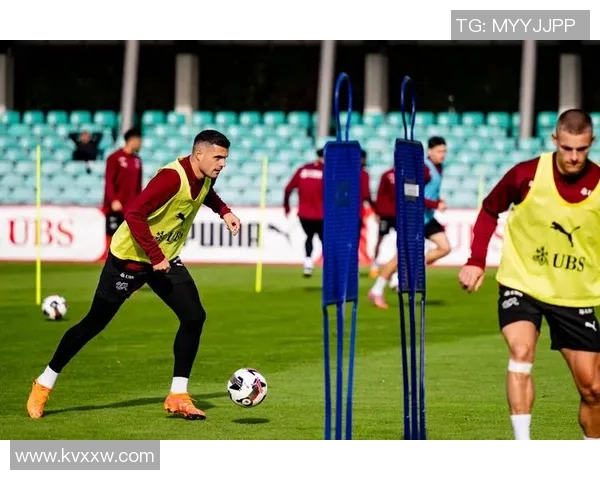 爱沙尼亚与瑞士足球赛前瞻及胜负预测分析